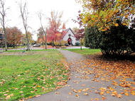 Central_park_path_a