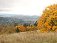 Chip_ross_autumn_colors_c