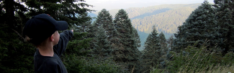 Marys Peak